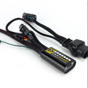 Denali CANsmart Kontrol Cihazı BMW F650, F700 ve F800 Serisi 