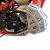 Alt Muhafaza ve Egzoz Koruma Beta Xtrainer (RR Salyangoz için) 2015-2024