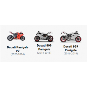 RG RACING Ducati Panigale 899 '13-/959 '16 - Panigale V2 '20 Motor Koruma Kapağı