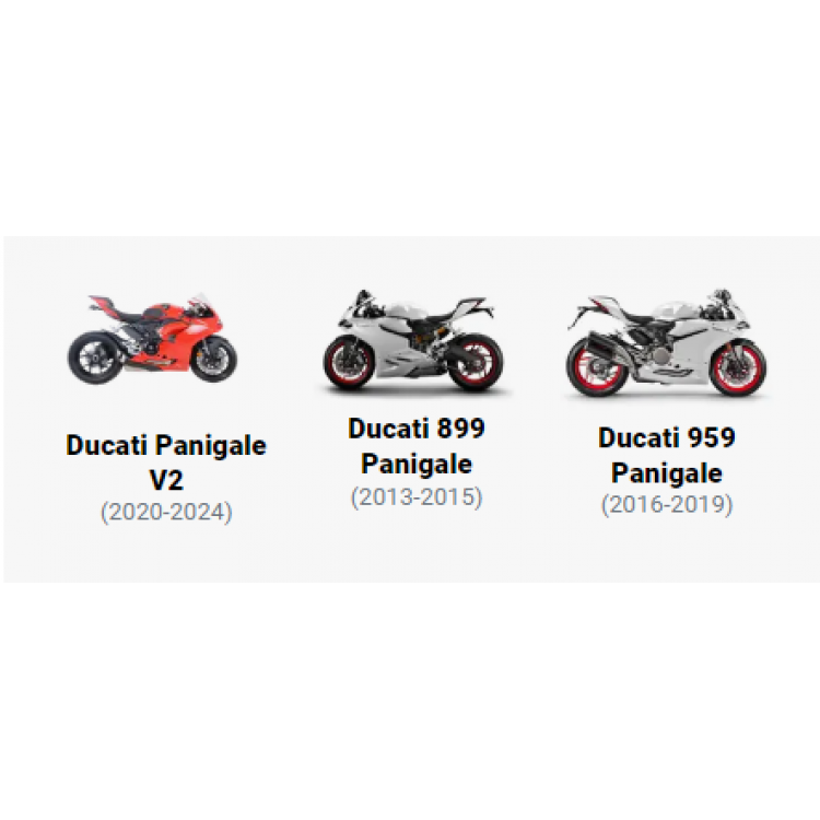 RG RACING Ducati Panigale 899 '13-/959 '16 - Panigale V2 '20 Motor Koruma Kapağı RG RACING Ducati Panigale 899 '13-/959 '16 - Panigale V2 '20 Motor Koruma Kapağı