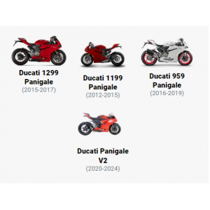 RG RACING Motor Koruma Kapağı (SAĞ) (DUCATİ PANİGALE 959 '16-/1199 '12-/1299 '15- VE PANİGALE V2 '20) 