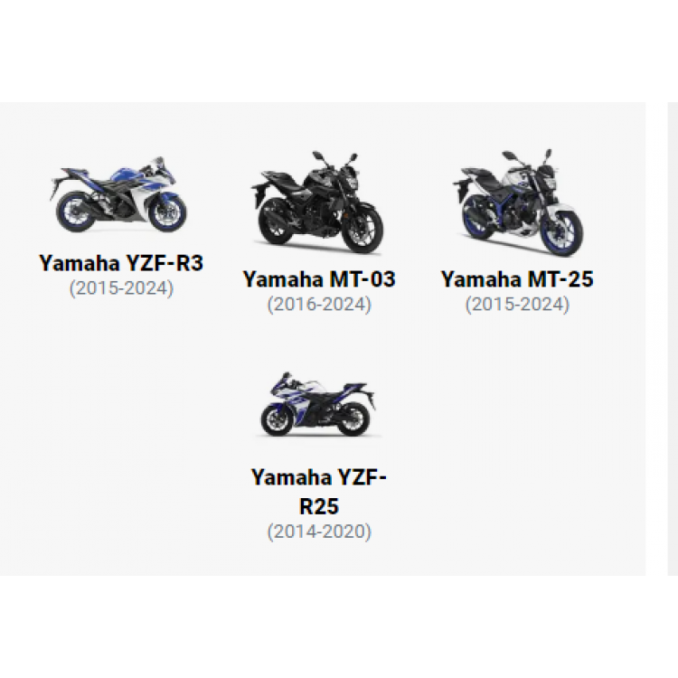 RG RACING Radyatör Koruma (YAMAHA YZF-R25 -14 YZF-R3 -15 MT-25 YAMAHA MT-03 16) RG RACING Radyatör Koruma (YAMAHA YZF-R25 -14 YZF-R3 -15 MT-25 YAMAHA MT-03 16)