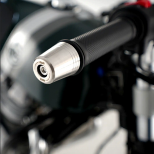 RG RACING Paslanmaz Çubuk Uç Koruma Sürgüsü (TRİUMPH TRİDENT 660 '21- VE SPEED TRİPLE 1200 RS '21) 