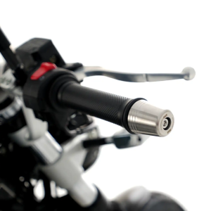 RG RACING Paslanmaz Çubuk Uç Koruma Sürgüsü (TRİUMPH TRİDENT 660 '21- VE SPEED TRİPLE 1200 RS '21) 