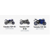 RG RACING Zincir Koruma (YAMAHA YZF-R6 '17 VE YZF-R1/R1M '15)