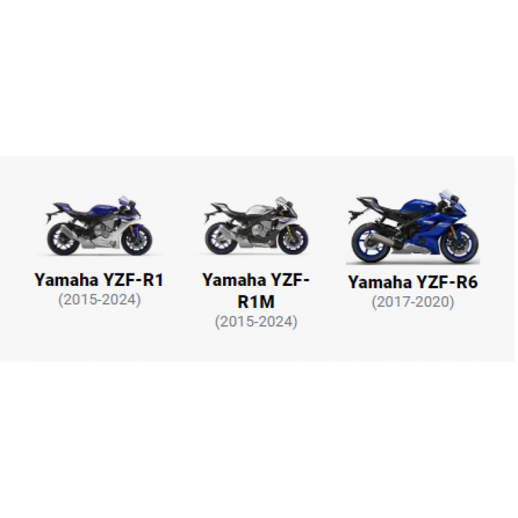 RG RACING Zincir Koruma (YAMAHA YZF-R6 '17 VE YZF-R1/R1M '15)
