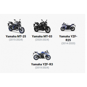  RG RACING Salınım Kolu Koruyucuları (YAMAHA YZF-R25 '14-, MT-25 '15- VE YZF-R3 '15)