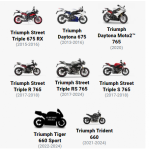 RG RACING Süspansiyon Koruyucu (TRİUMPH DAYTONA 675 '13-, STREET TRİPLE RX '15)